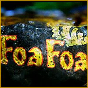 Team Foa Foa